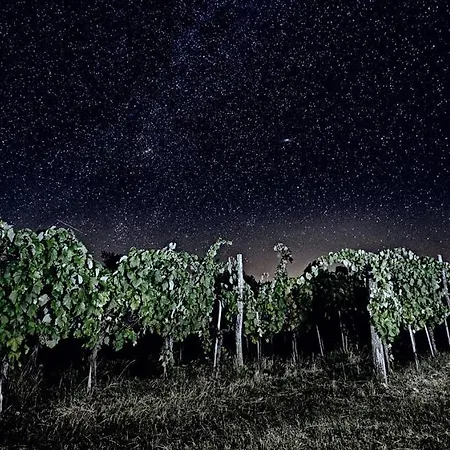 Moon - Tiny House From Callin Wines