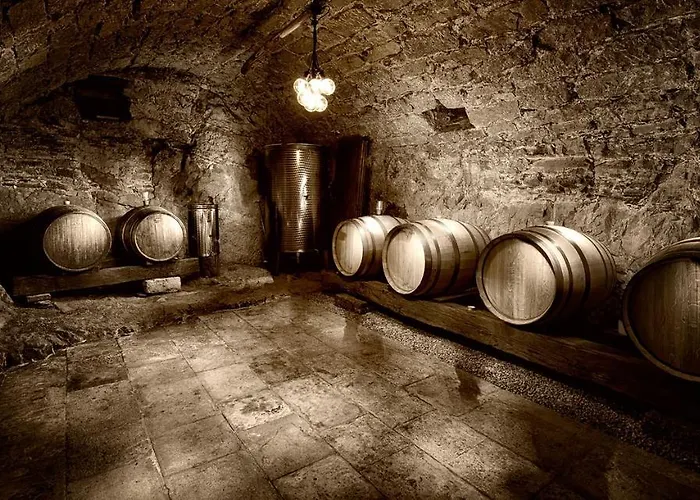 Moon - Tiny House From Callin Wines * Sežana