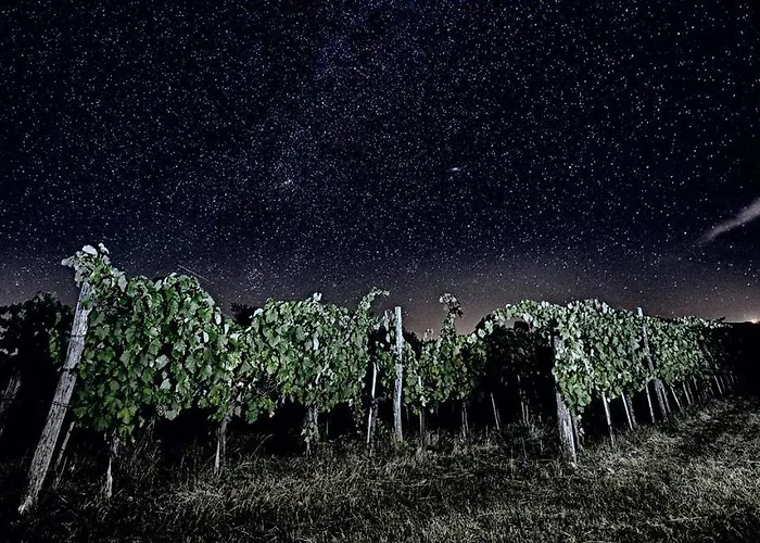 Moon - Tiny House From Callin Wines